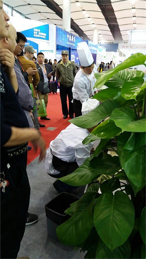 歡迎各界人士前來(lái)參觀(guān)大明展位