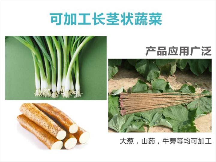 可加工長(cháng)莖狀蔬菜