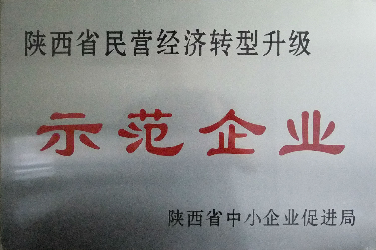陜西省民營(yíng)經(jīng)濟轉型升級示范企業(yè)